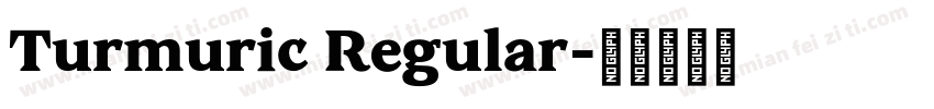 Turmuric Regular字体转换